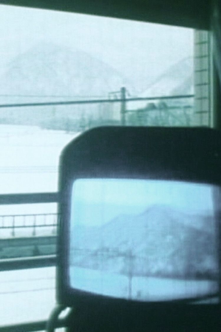 Poster of the movie Distorted "Tele" Vision