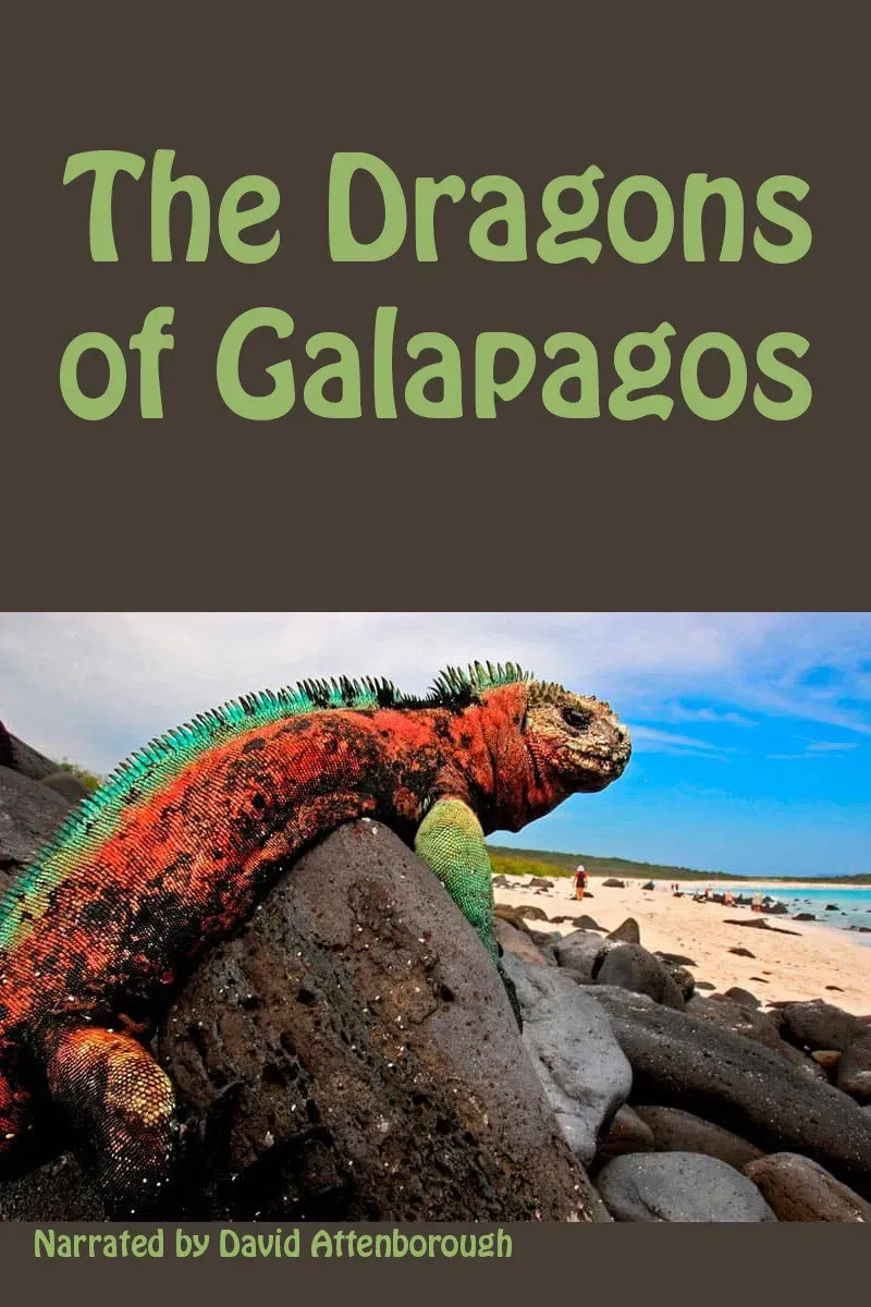 Poster of the movie The Dragons of Galapagos