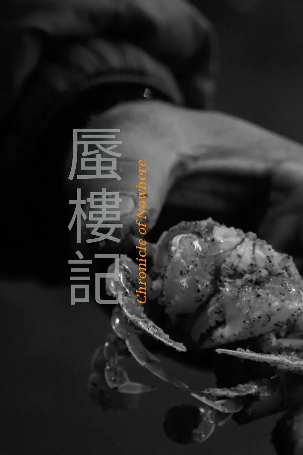 Poster of the movie Chronicle of Nowhere