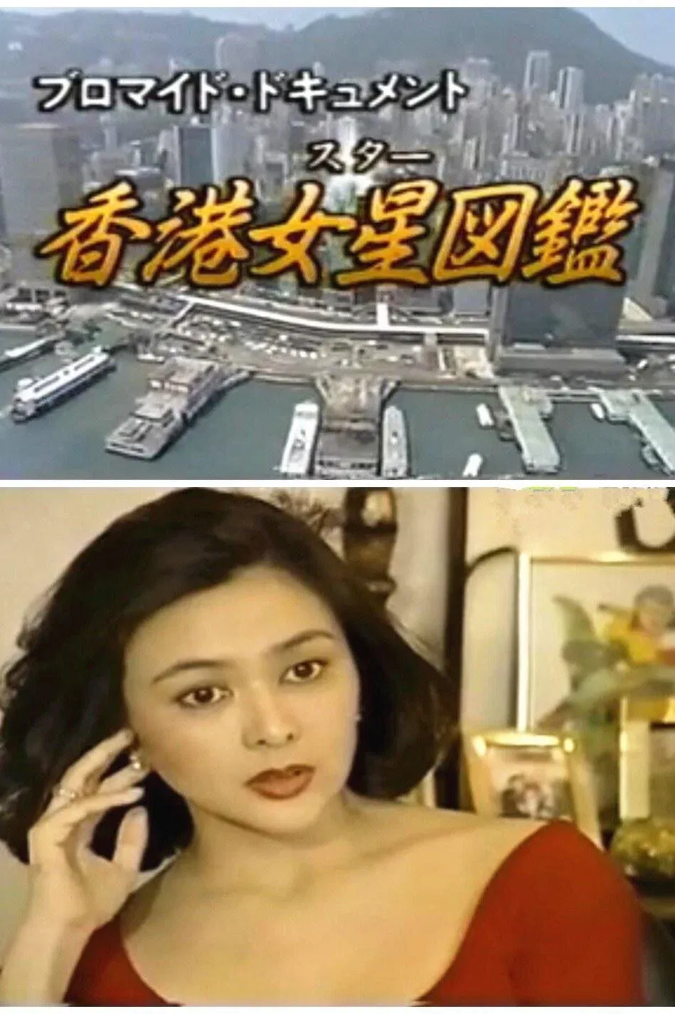 Poster for The Illustrated Guide to Hong Kong Stars
