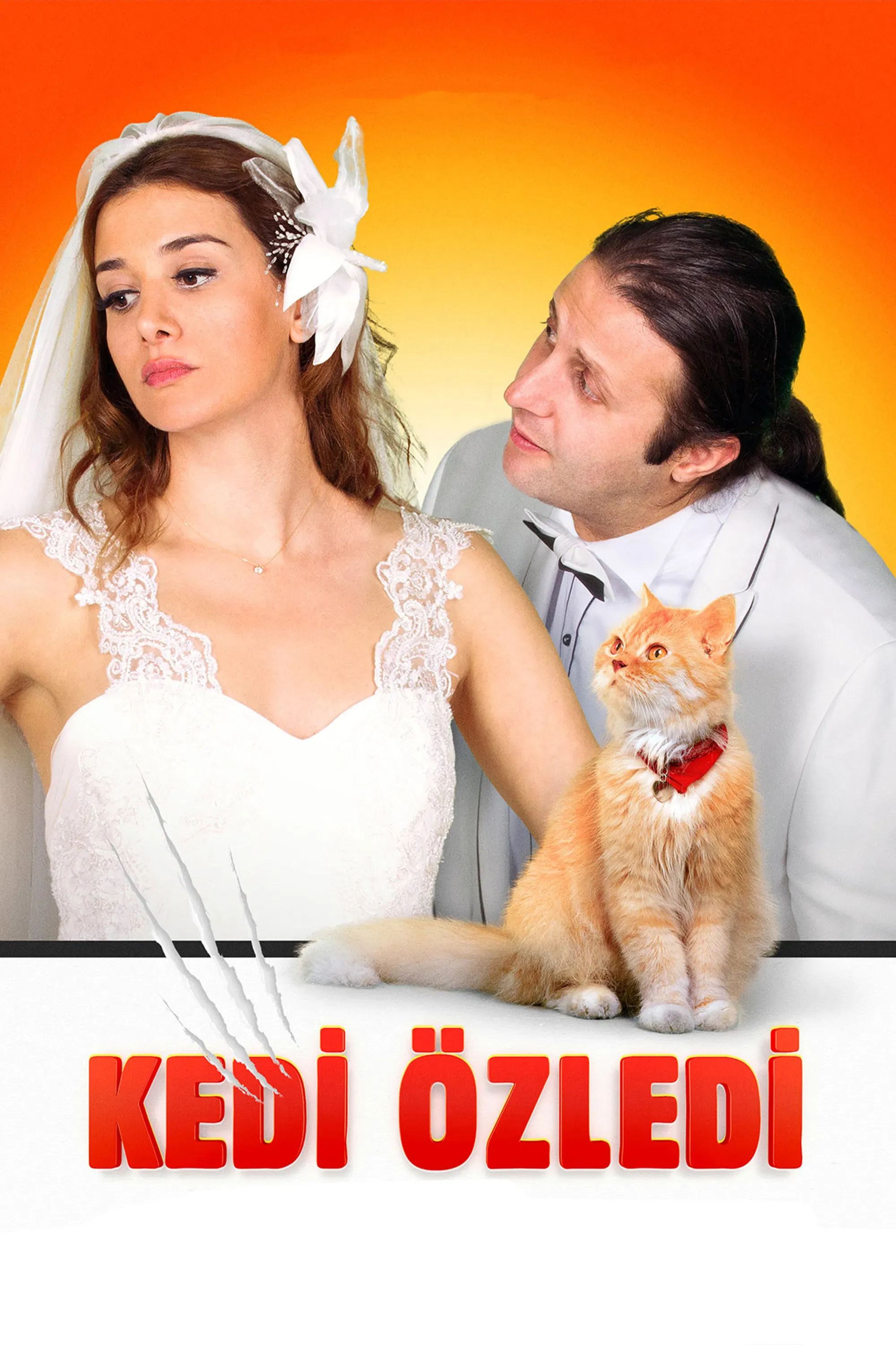 Poster of the movie Kedi Özledi