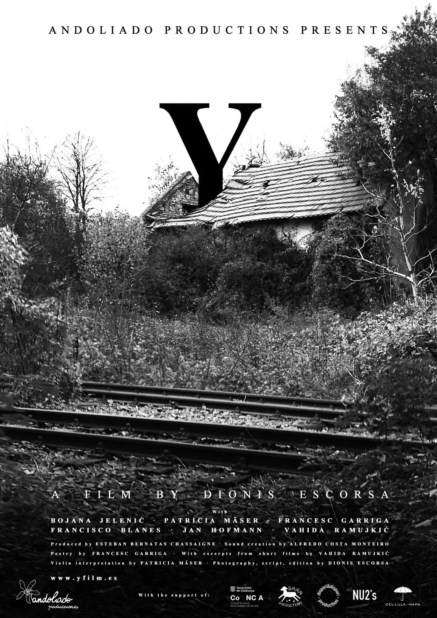 Poster of the movie Y