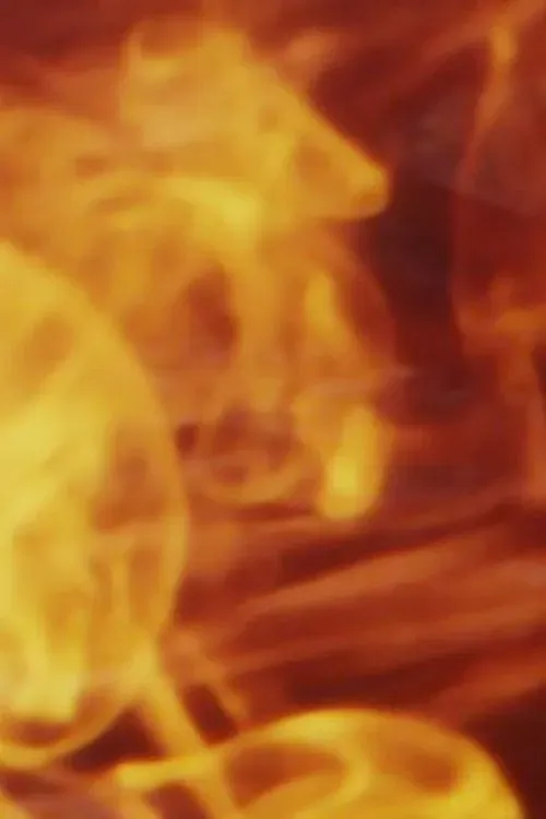 Poster of the movie Ruling Star