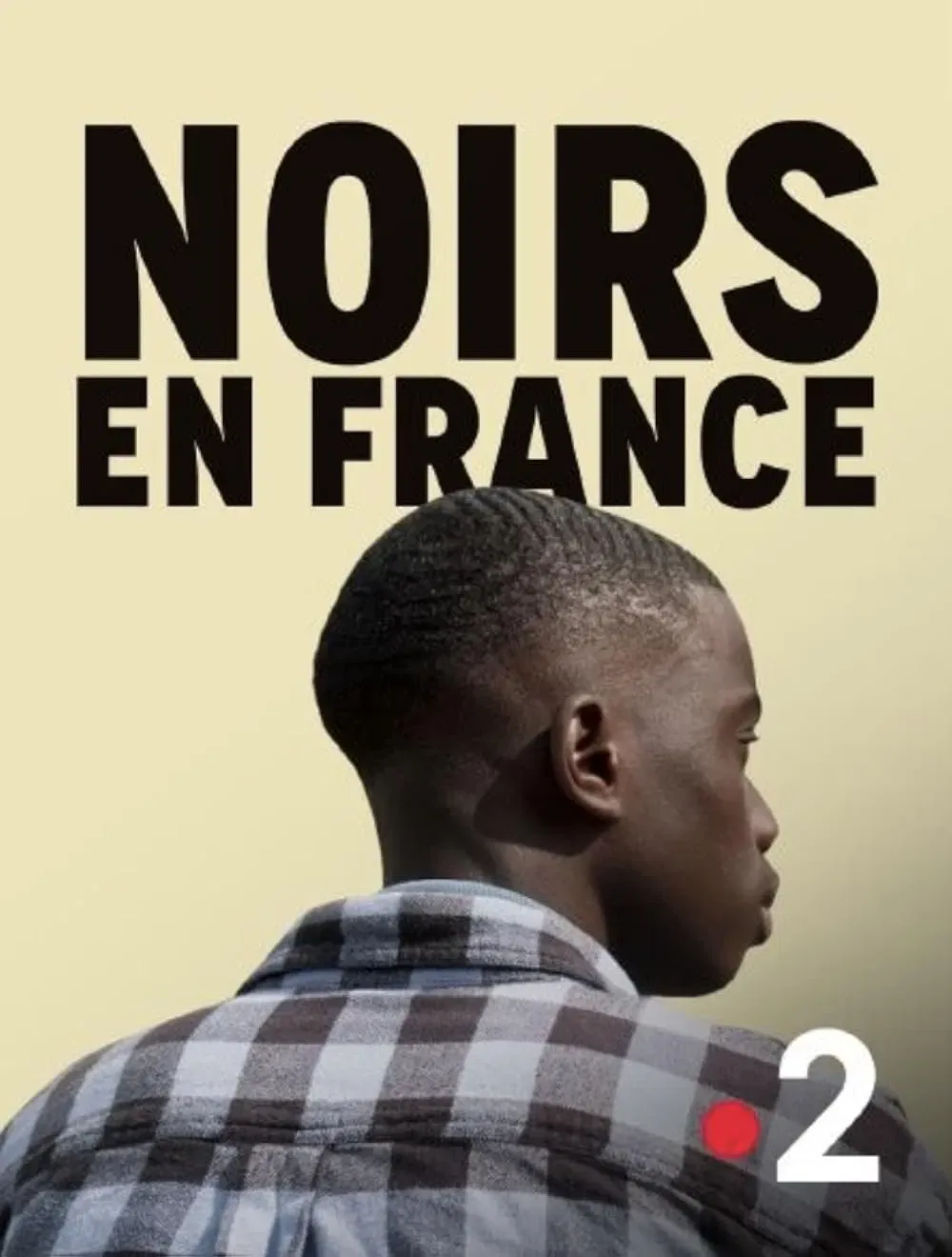 Poster of the movie Noirs en France