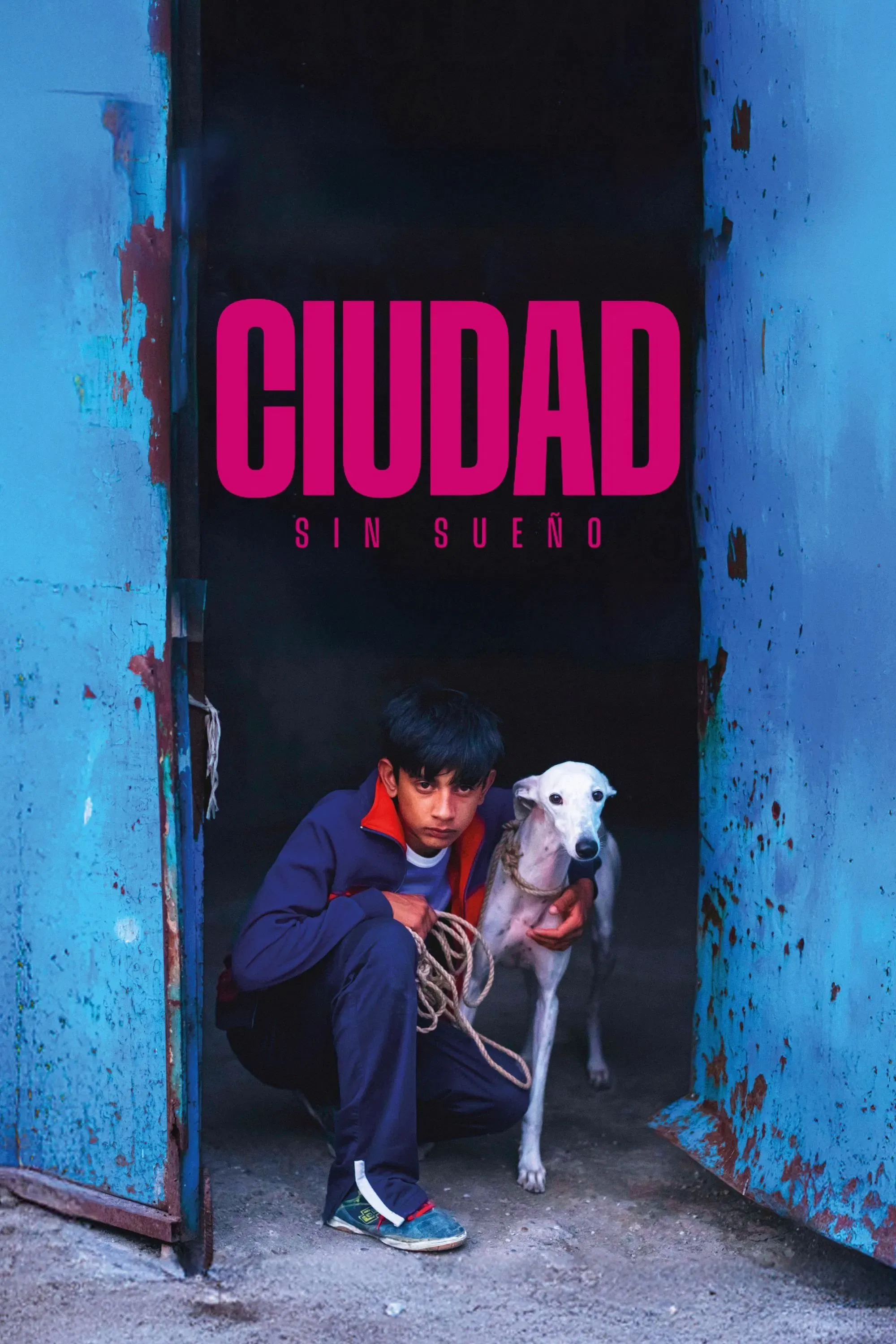 Poster of the movie Sleepless City