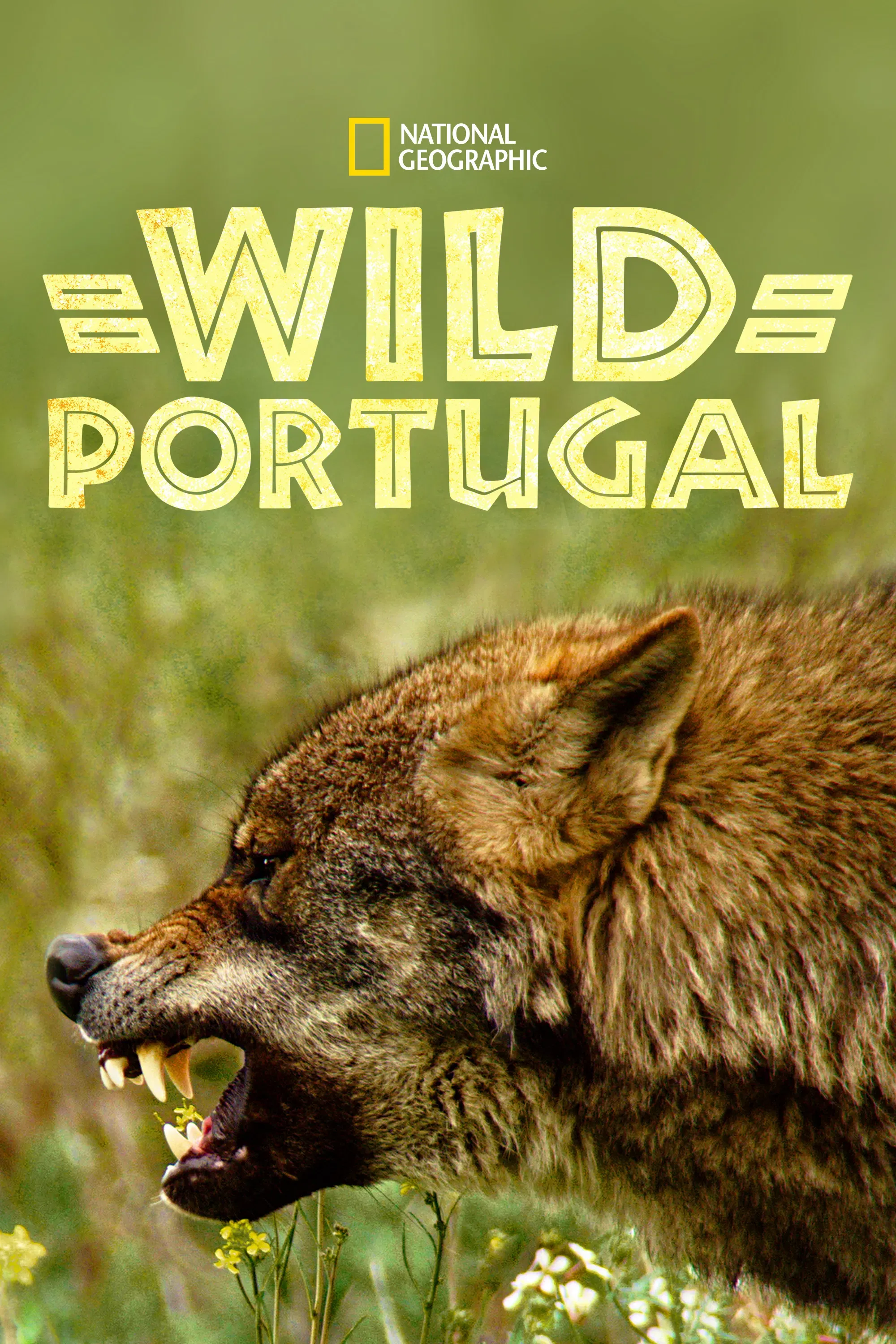 Poster of the movie Wild Portugal