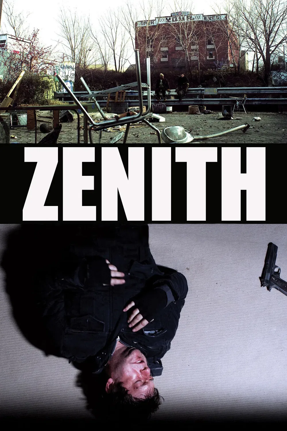 Poster of the movie Zenith