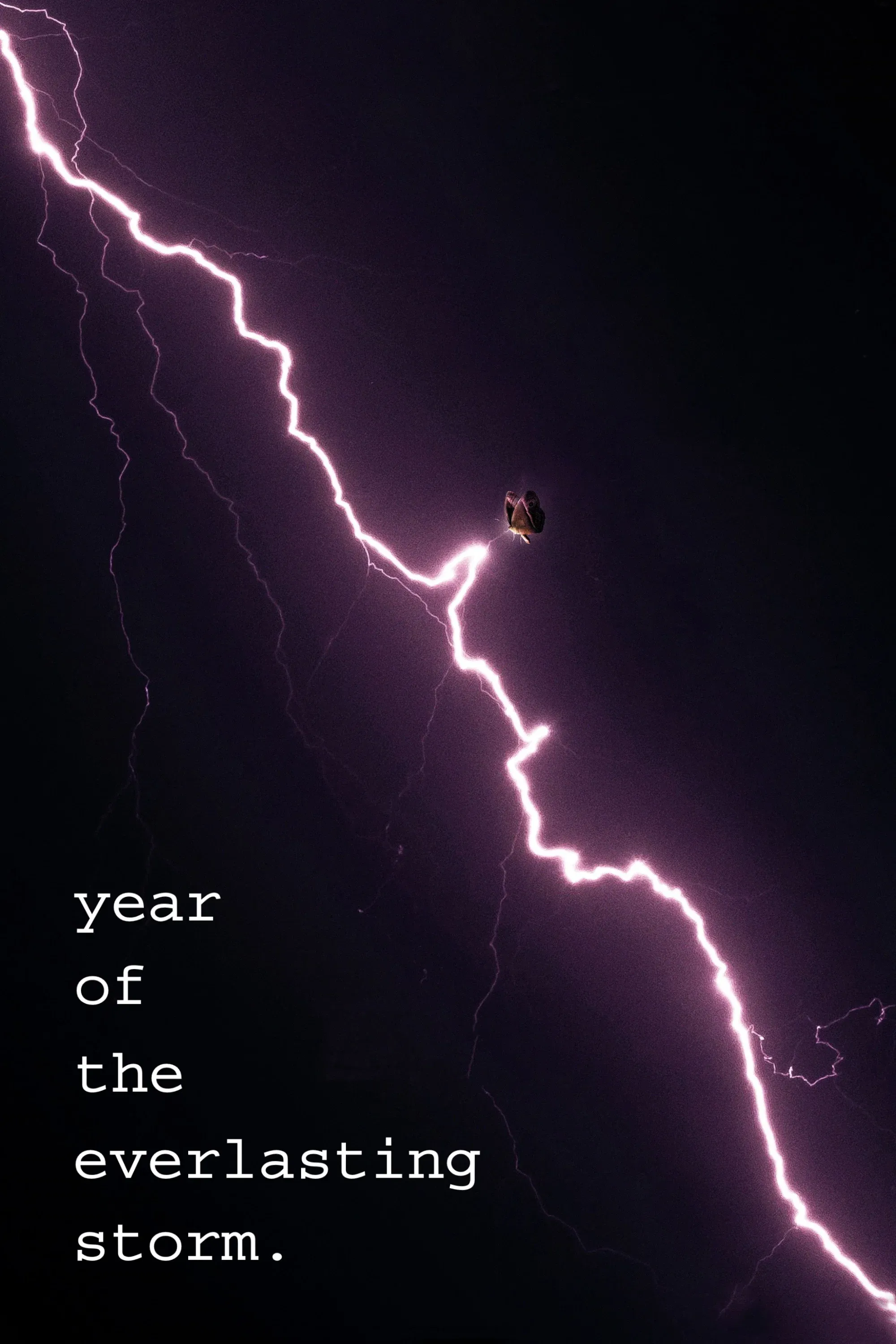 Poster for The Year of the Everlasting Storm