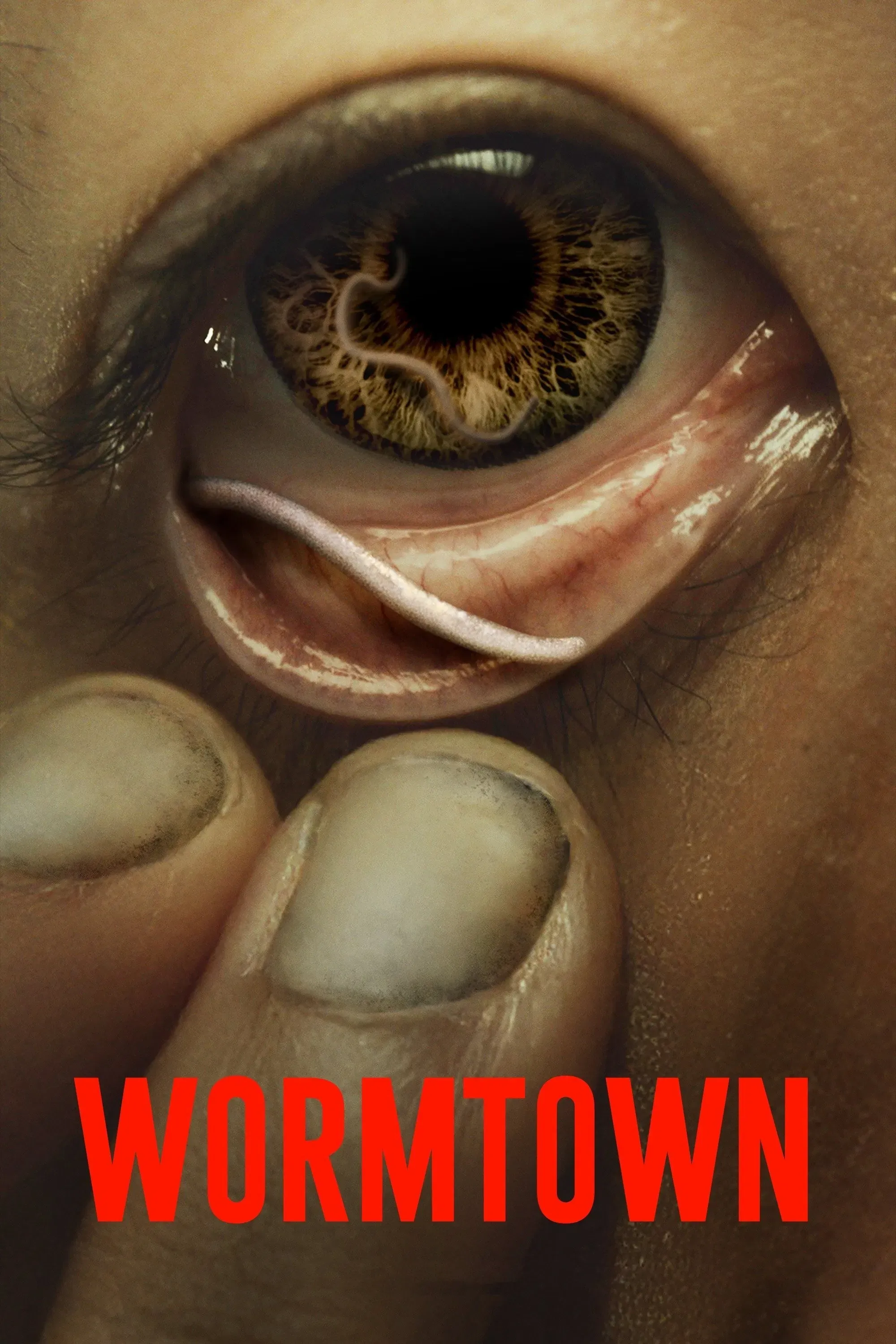 Poster for Wormtown
