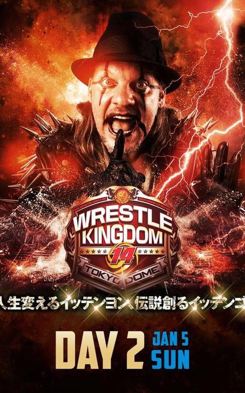 Poster of the movie NJPW Wrestle Kingdom 14: Night 2