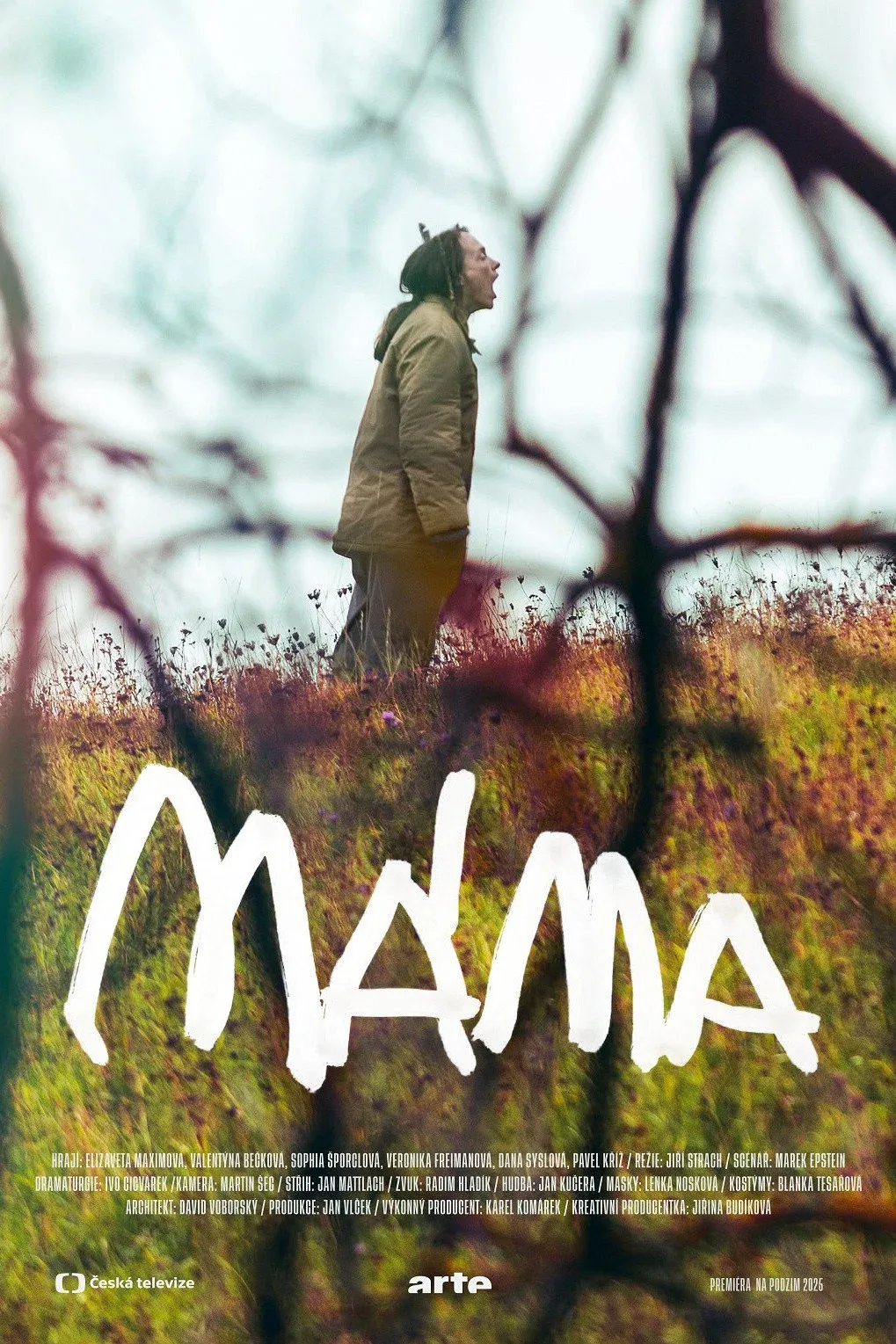 Poster for Mama