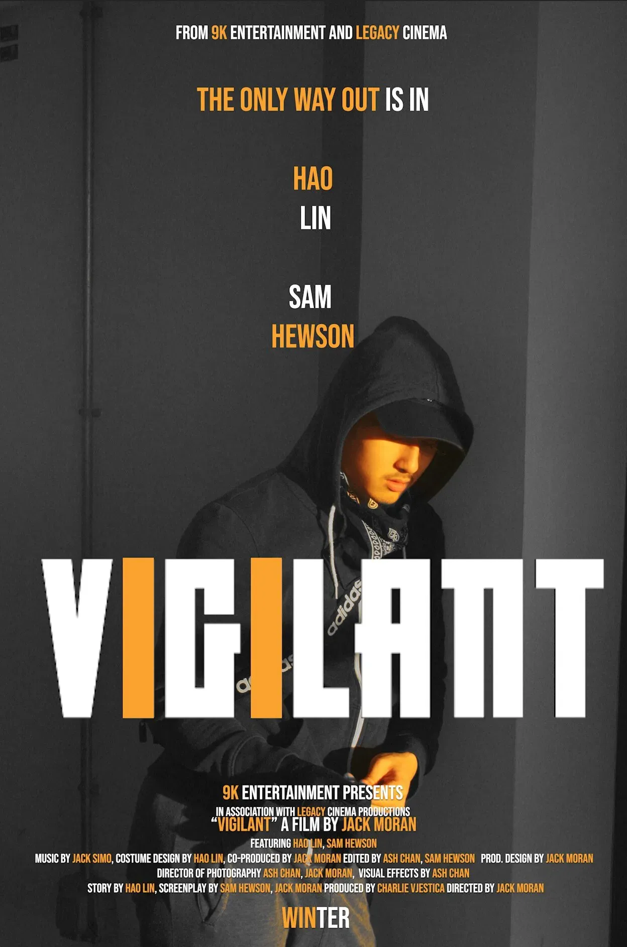 Poster of the movie Vigilant