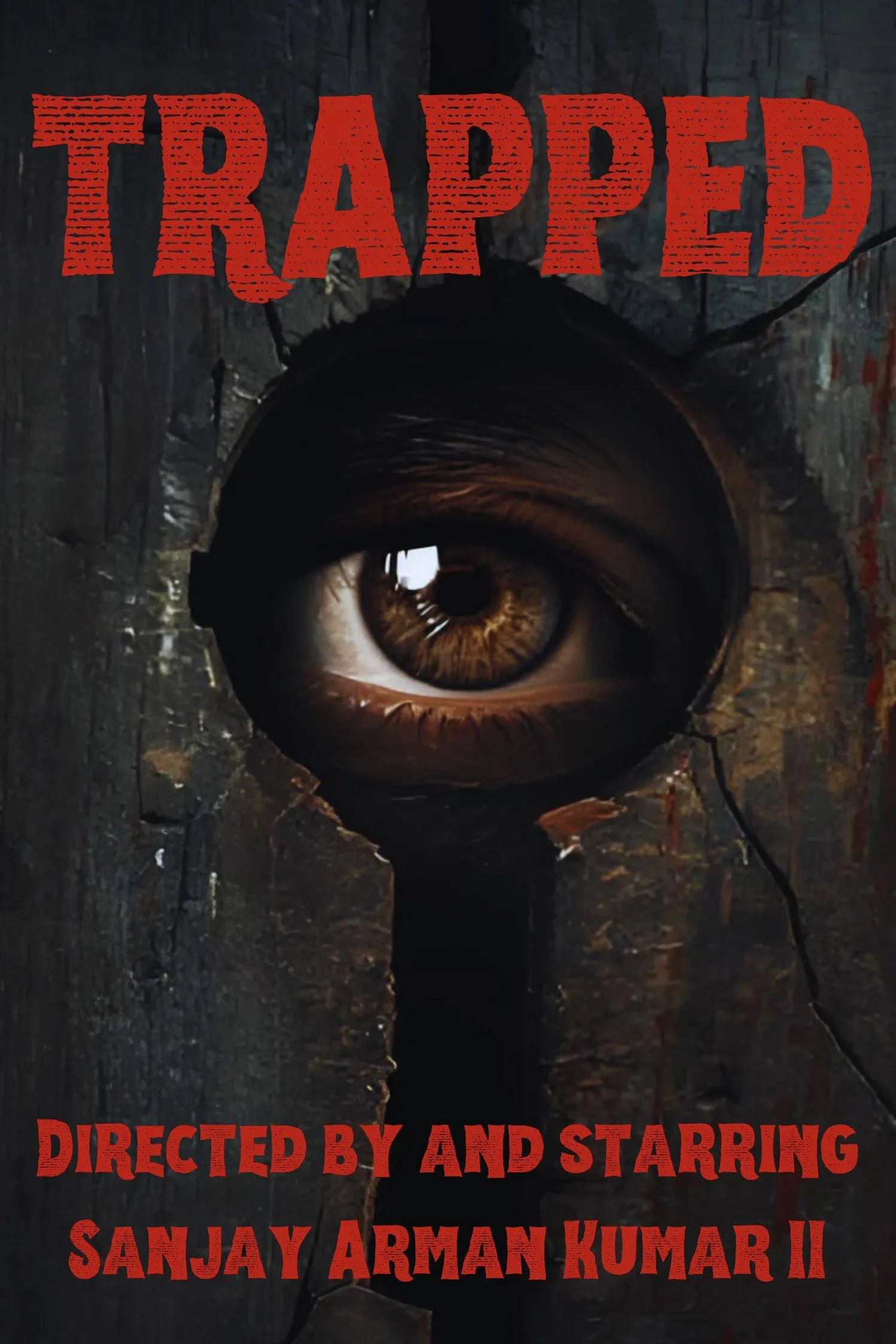 Poster for Trapped