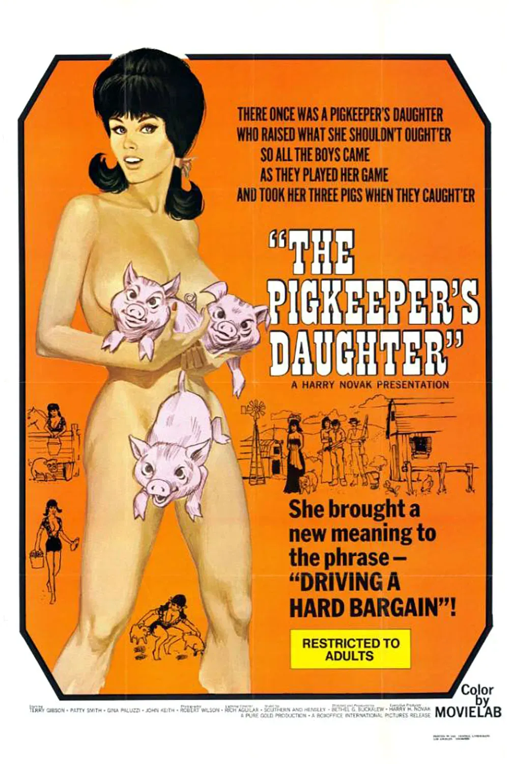 Poster for The Pig Keeper's Daughter