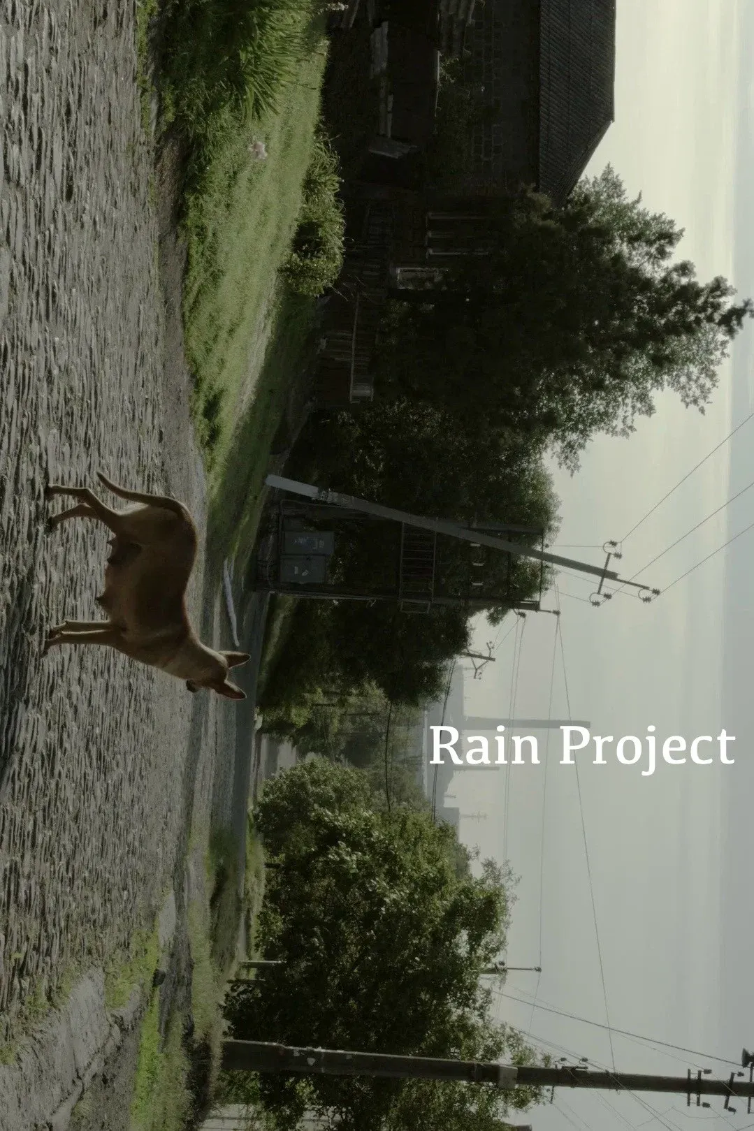 Poster for Rain Project