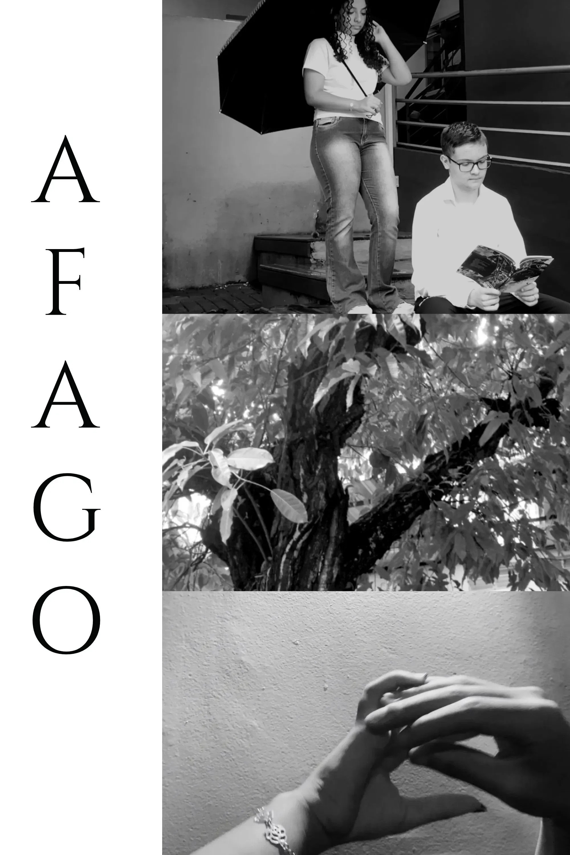 Poster of the movie Afago