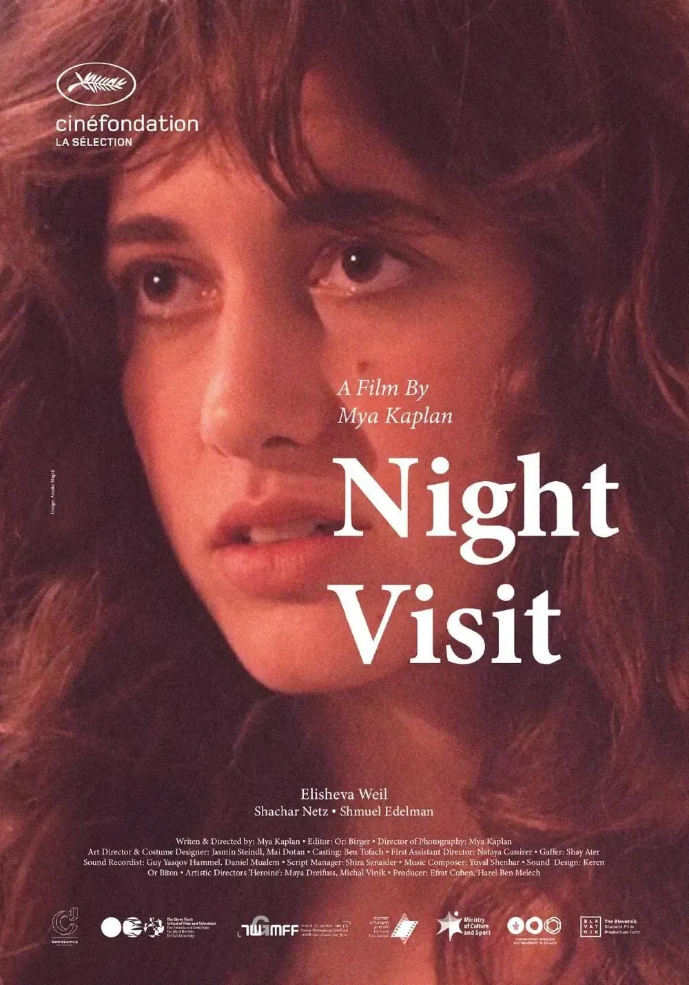 Poster of the movie Night Visit