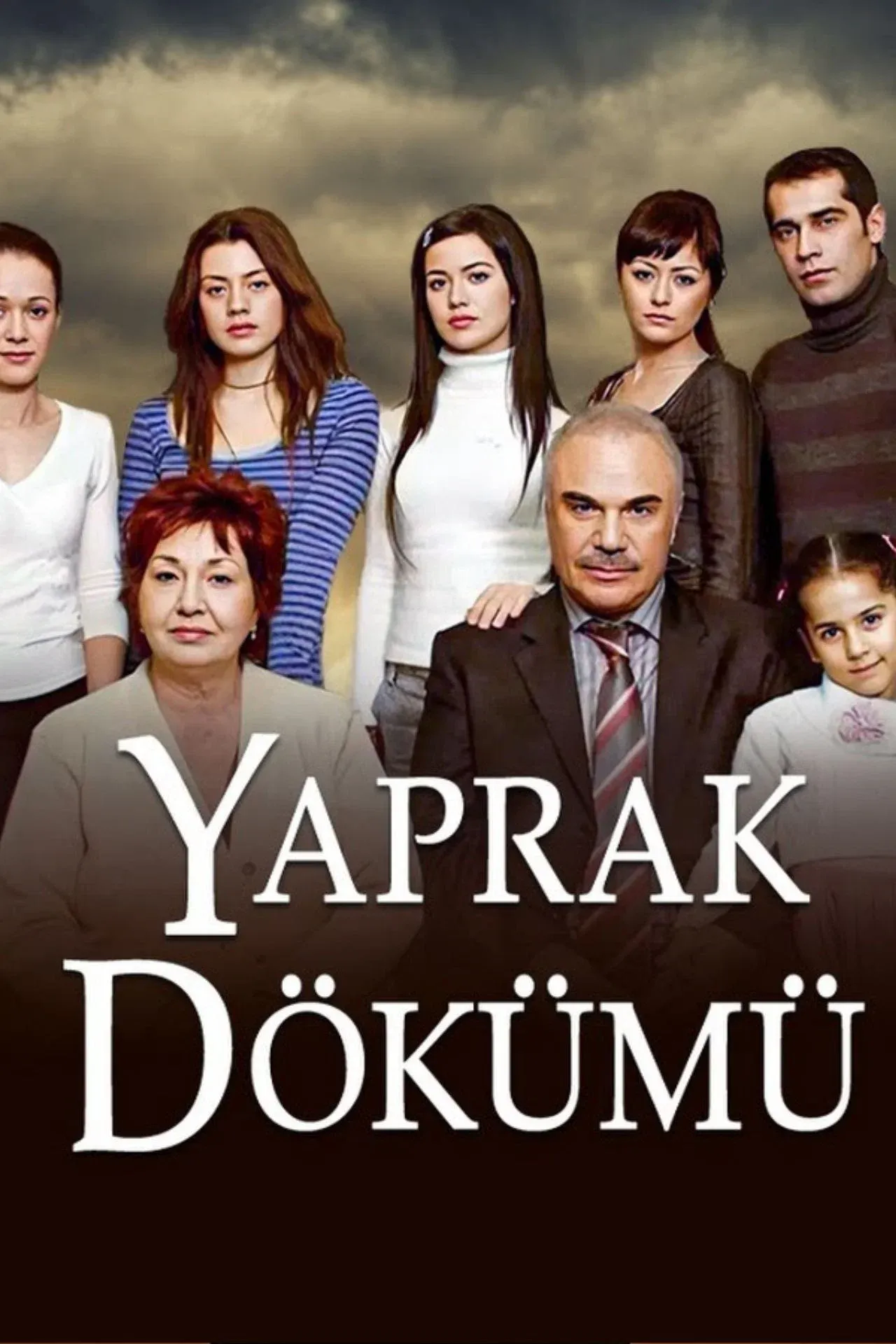 Poster of Falling Leaves