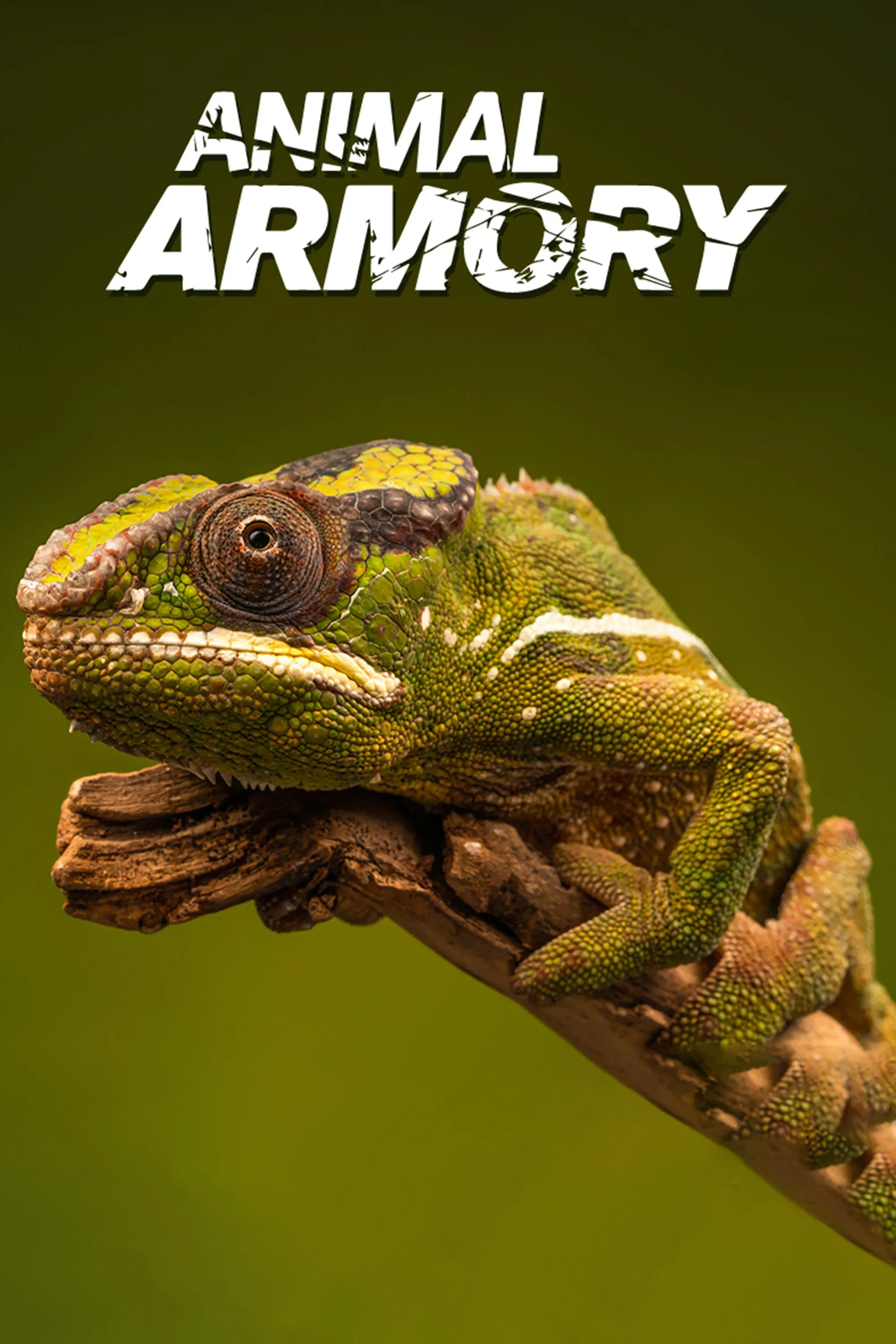 Poster of Animal's Armory