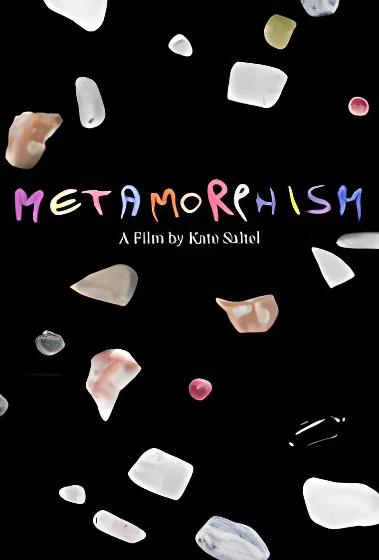 Poster of the movie Metamorphism