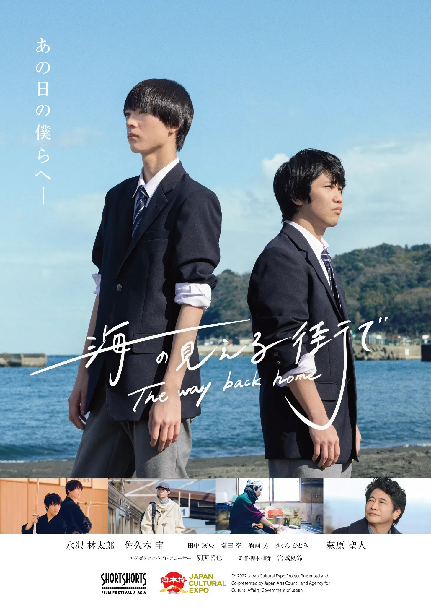 Poster of the movie The way back home