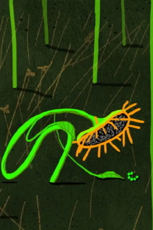 Poster of the movie Sunflower