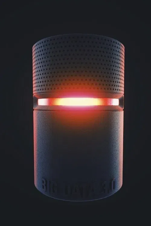 Poster of the movie Big Data L1ZY