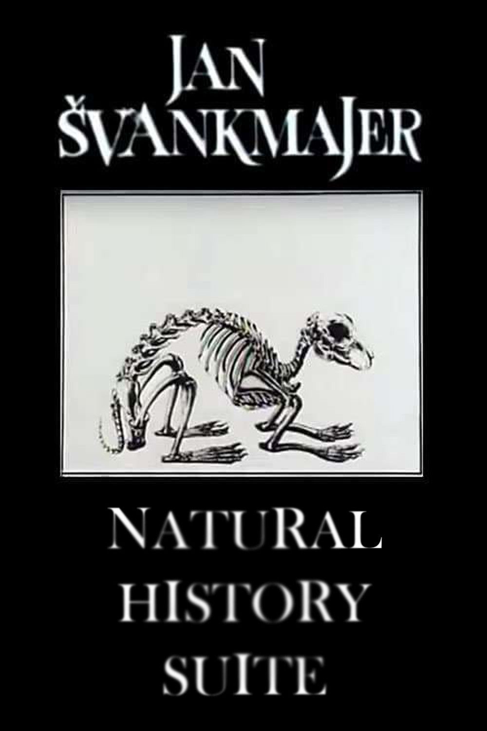 Poster of the movie Natural History Suite