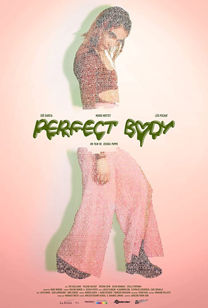 Poster of the movie Perfect Body