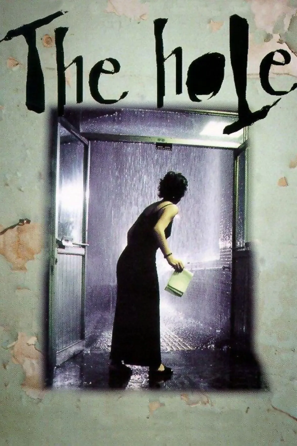 Poster of the movie The Hole