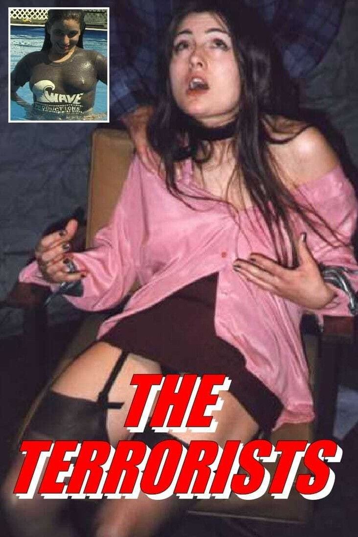 Poster for The Terrorists