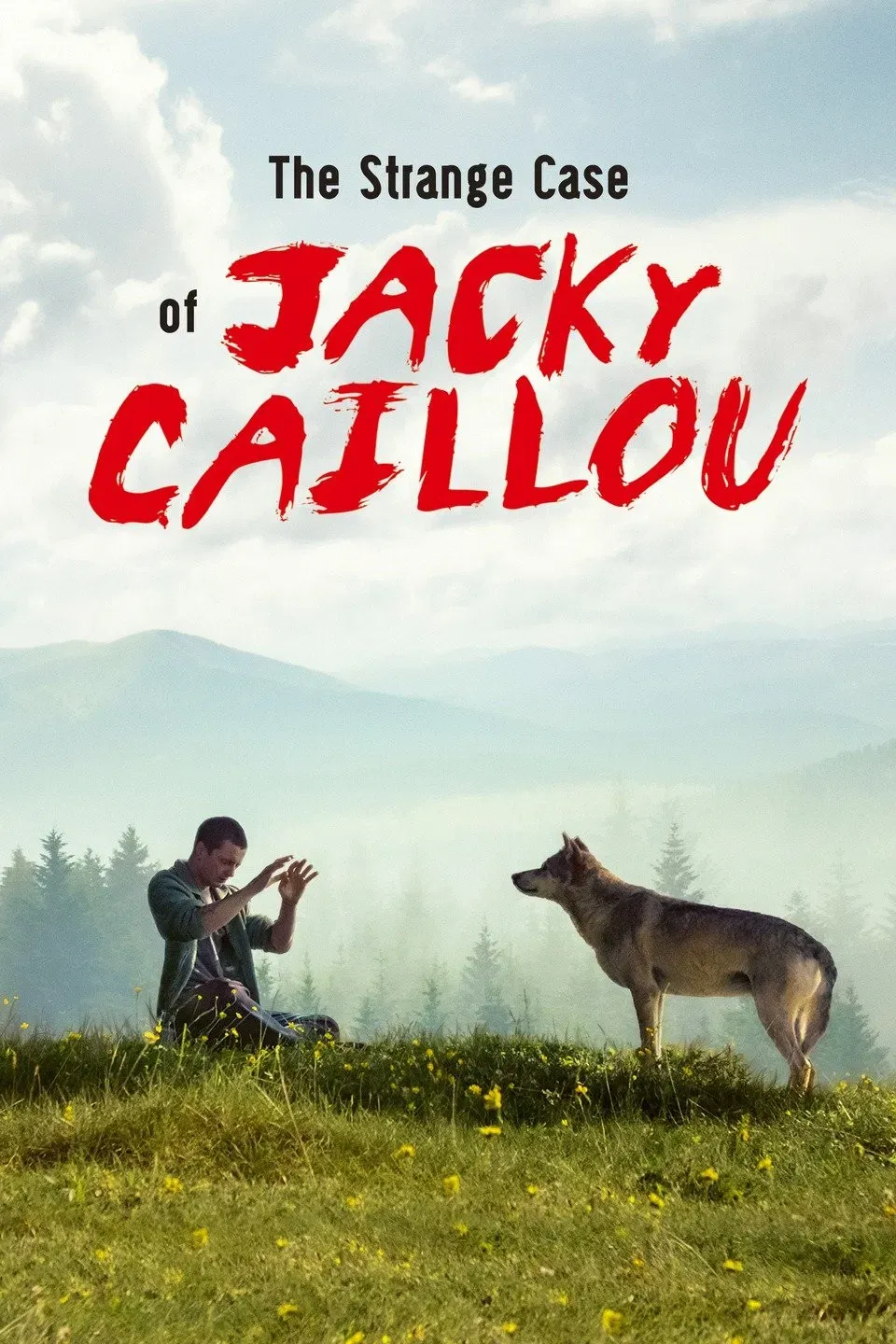 Poster of the movie The Strange Case of Jacky Caillou