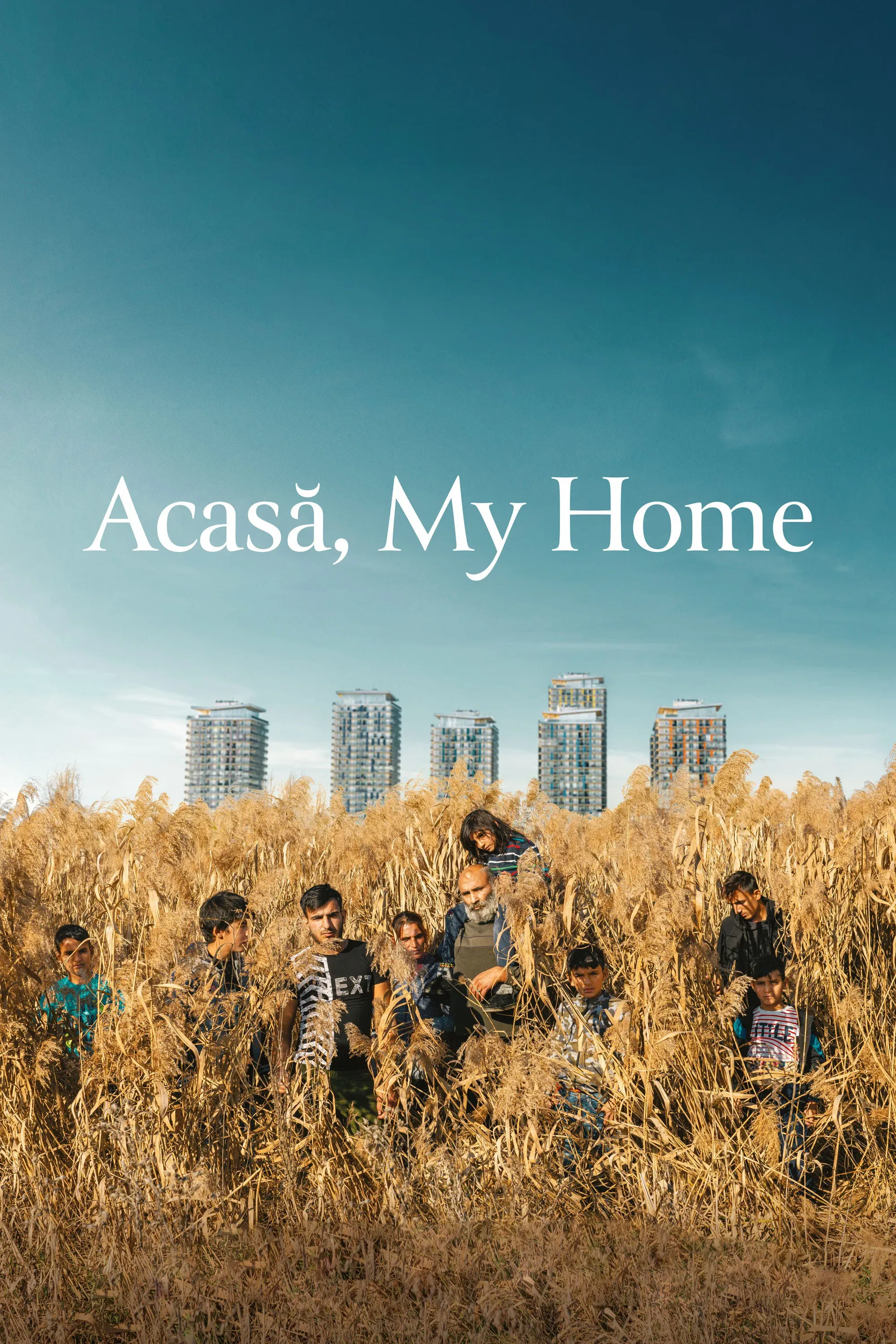 Poster of the movie Acasă, My Home