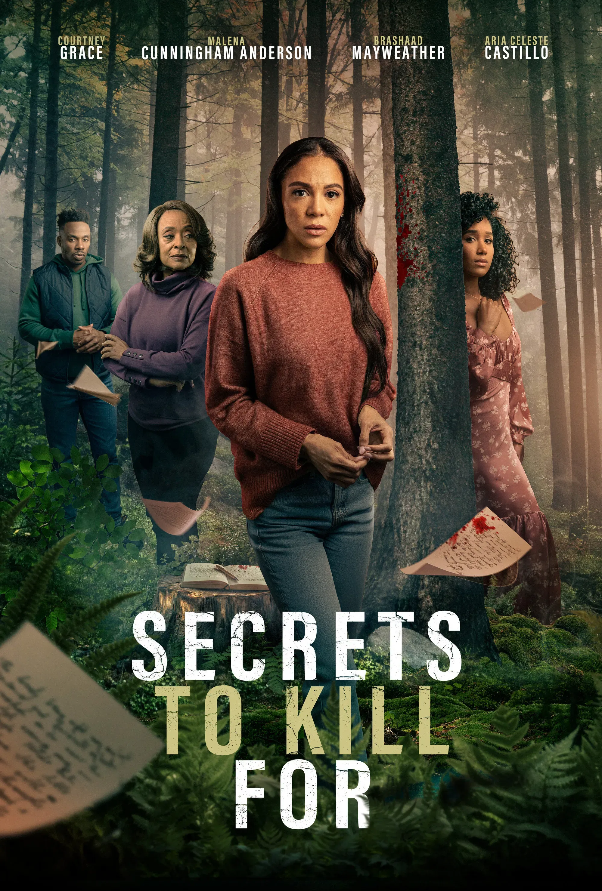 Poster of the movie Secrets to Kill For