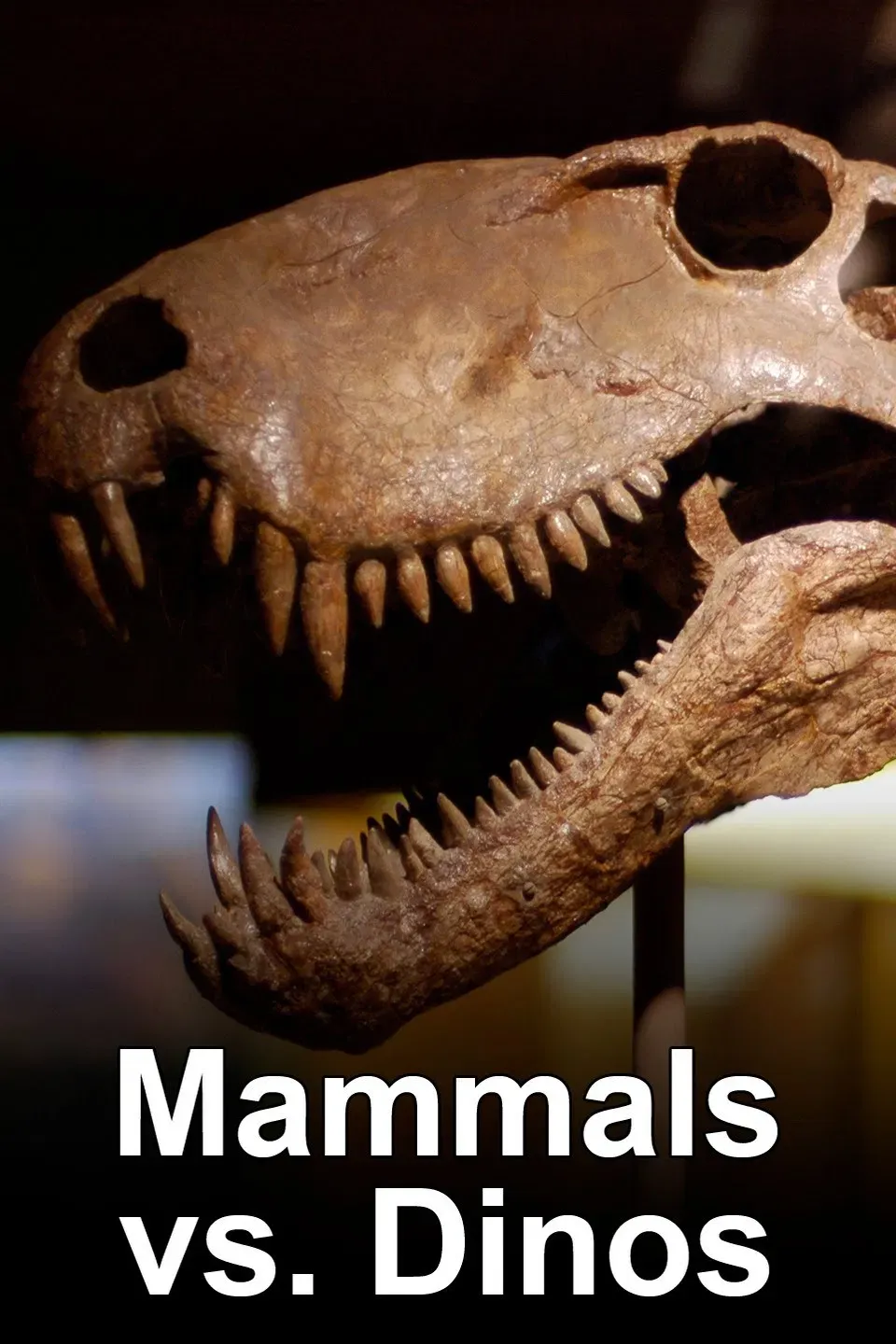 Poster of Mammals Vs. Dinos