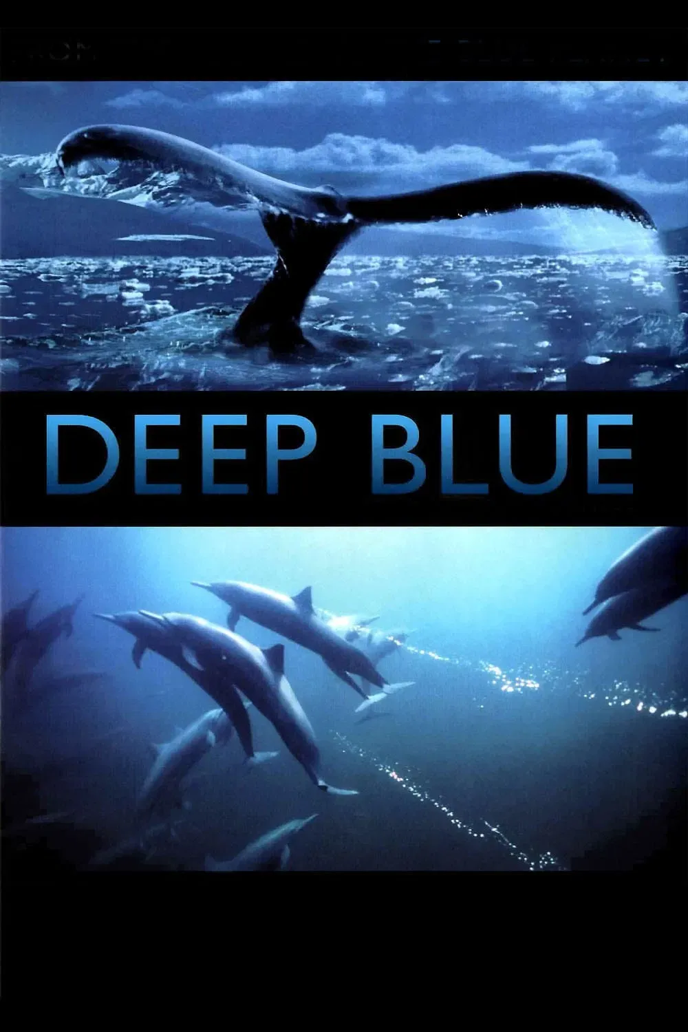 Poster of the movie Deep Blue