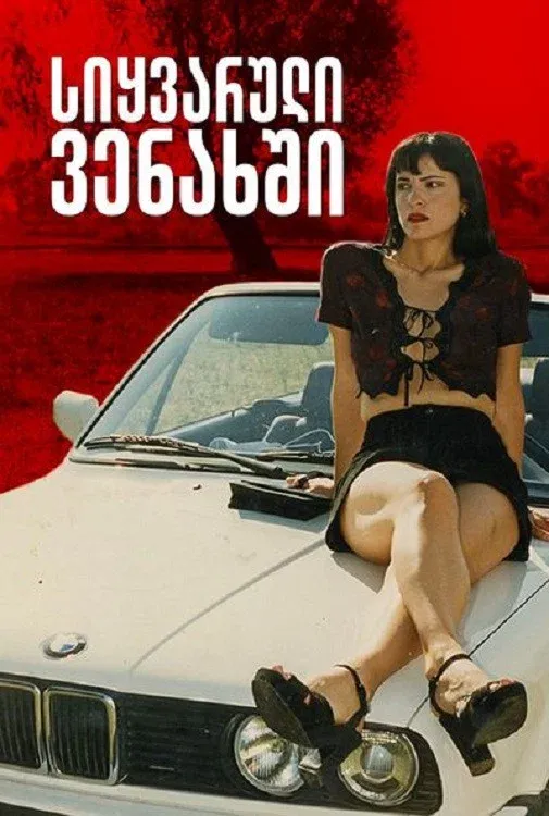 Poster for Georgian Grapes