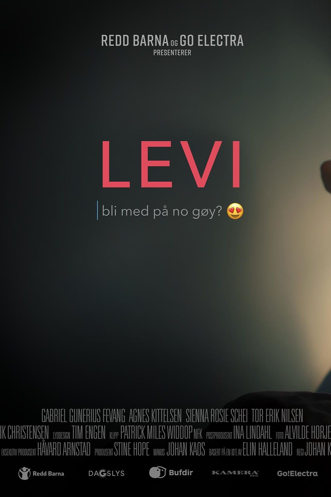 Poster of the movie Levi