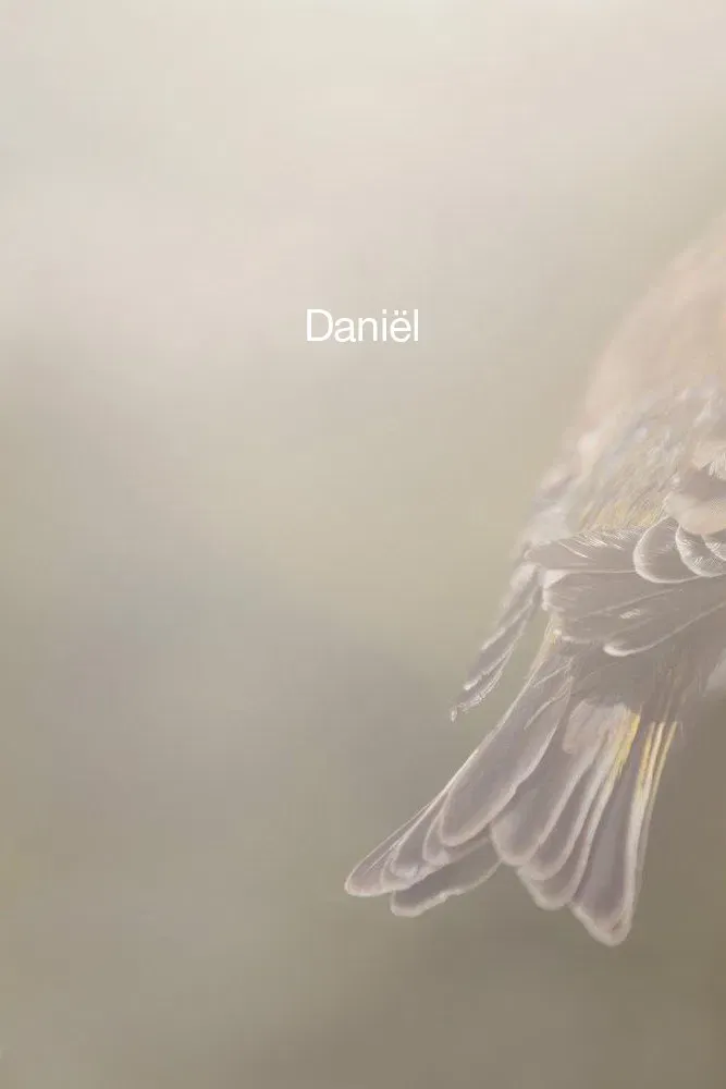 Poster of the movie Daniël