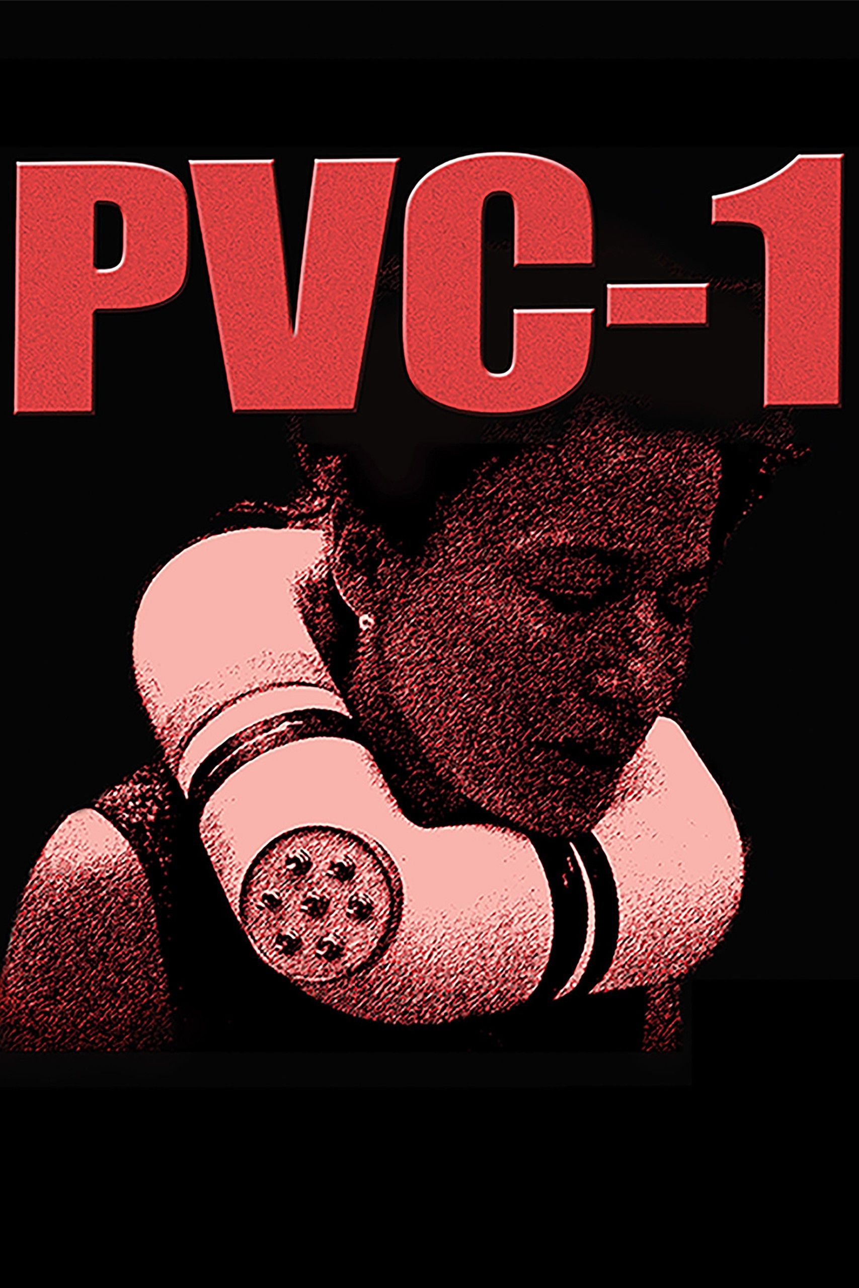 Poster of the movie PVC-1