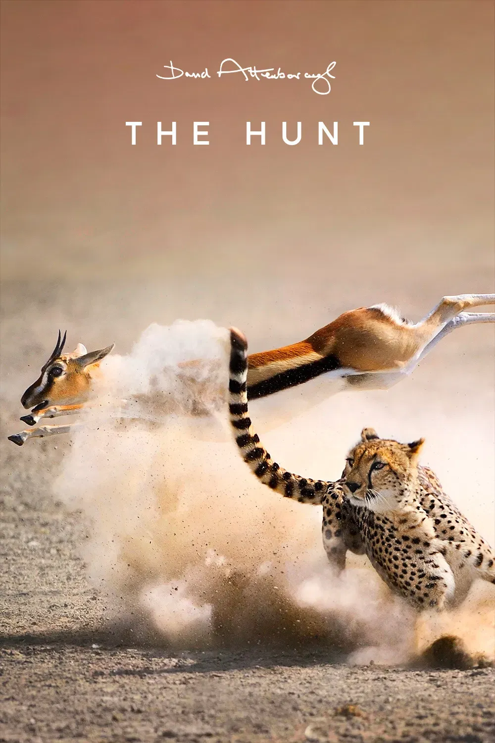 Poster of The Hunt