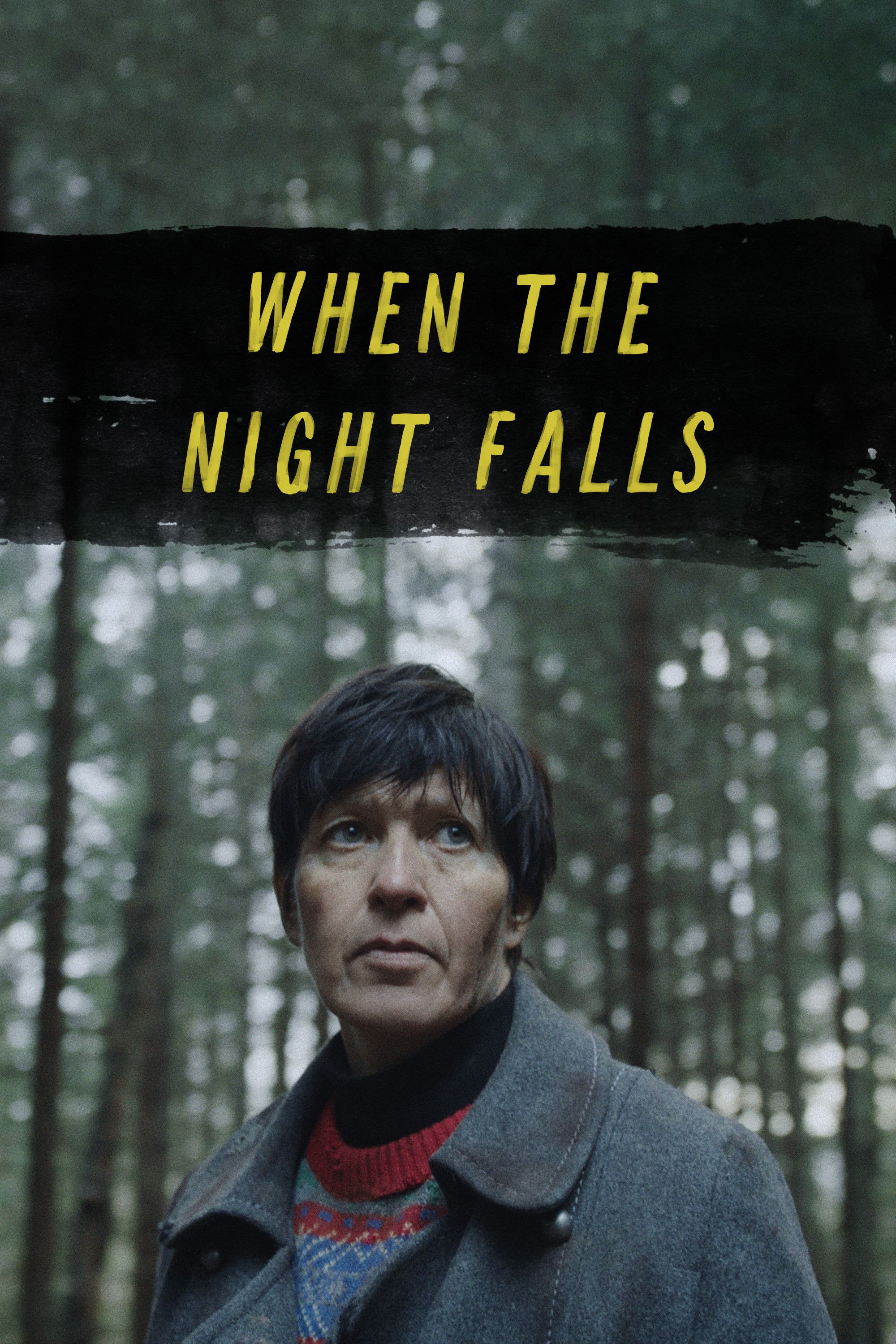 Poster of the movie When the Night Falls