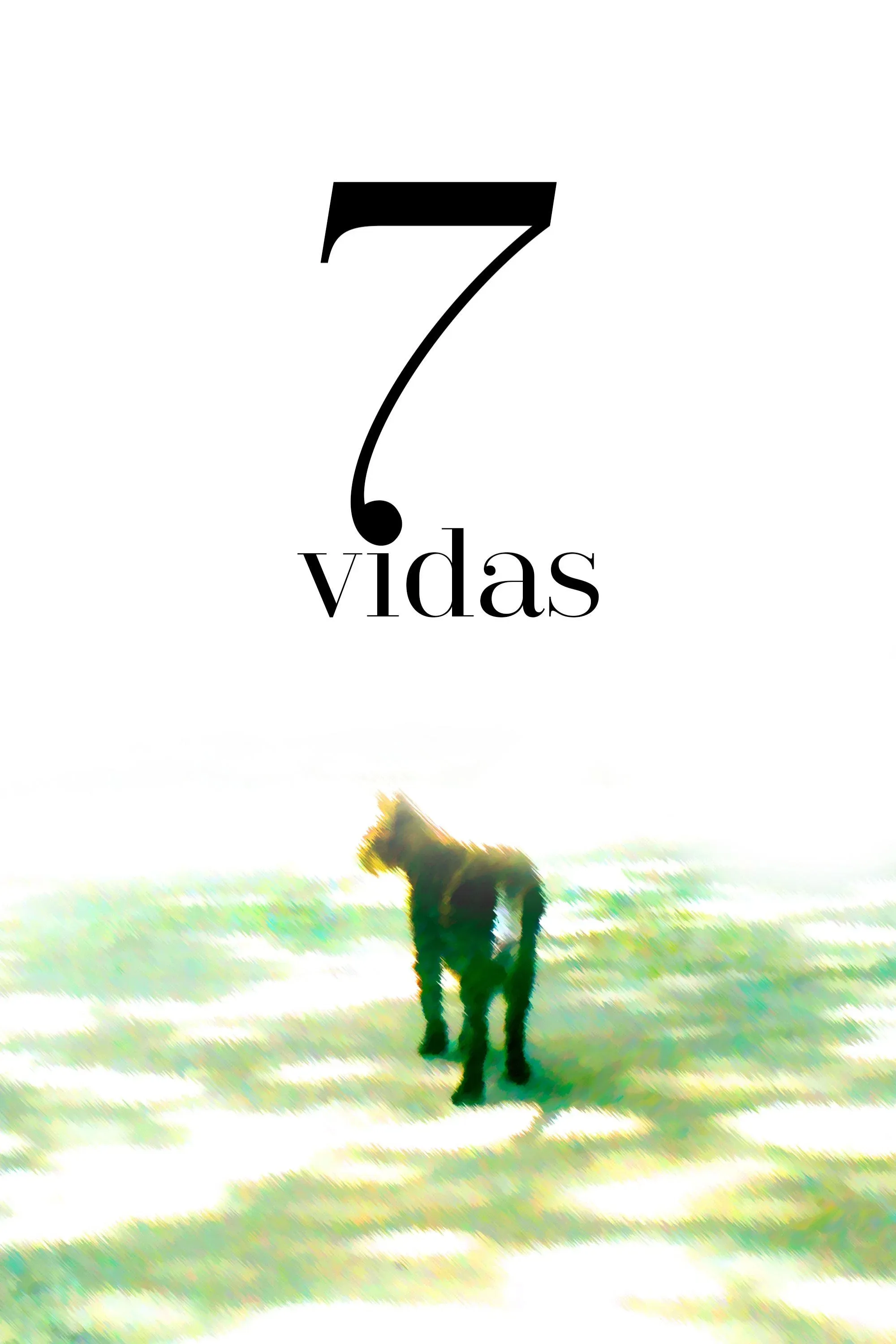 Poster for 7 Vidas