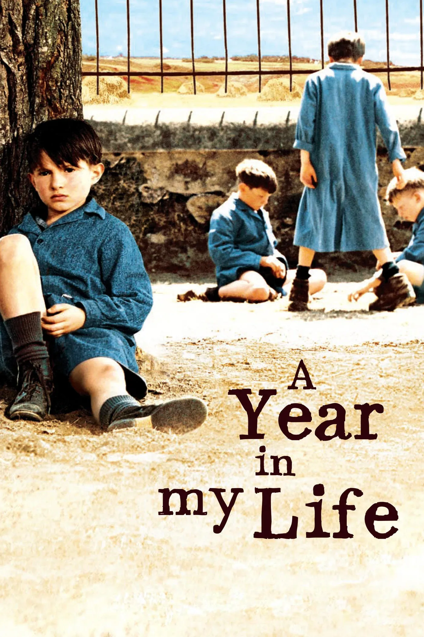 Poster of the movie A Year in My Life