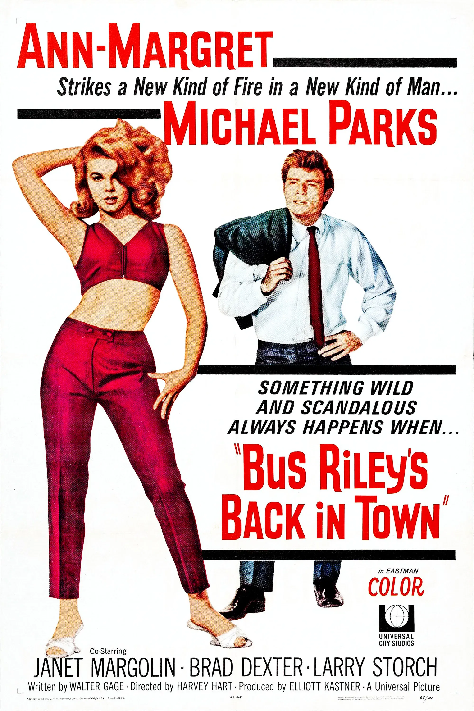 Poster of the movie Bus Riley's Back in Town