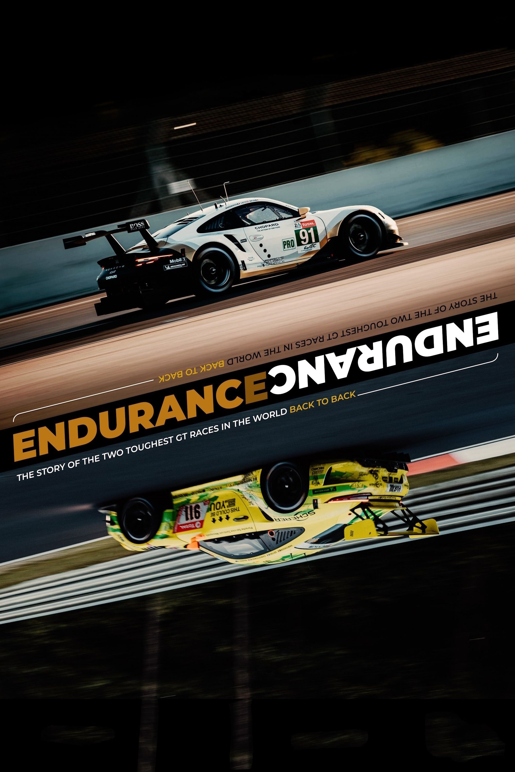 Poster of the movie ENDURANCE