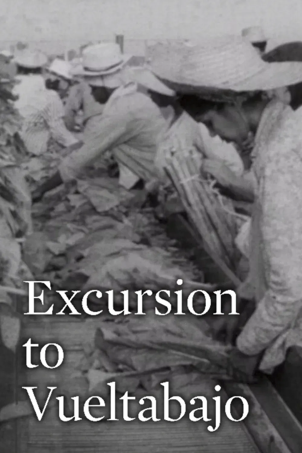 Poster of the movie Excursion to Vueltabajo