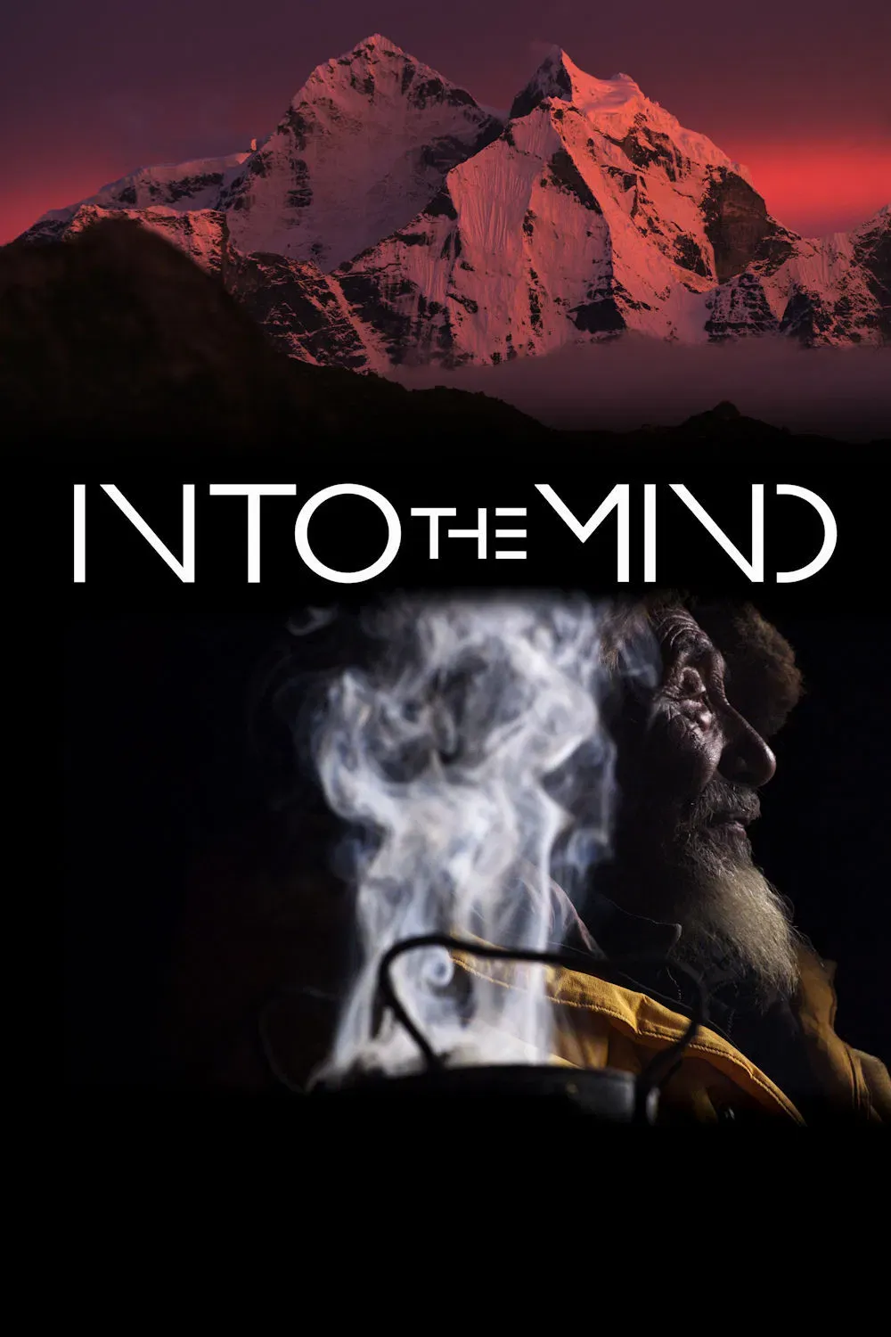 Poster of the movie Into the Mind