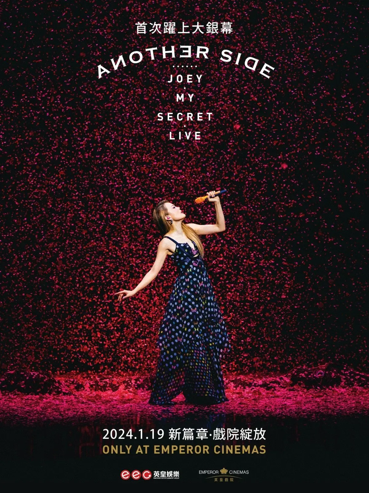 Poster of the movie 容祖儿 Another Side Joey My Secret Live 2024 特别版