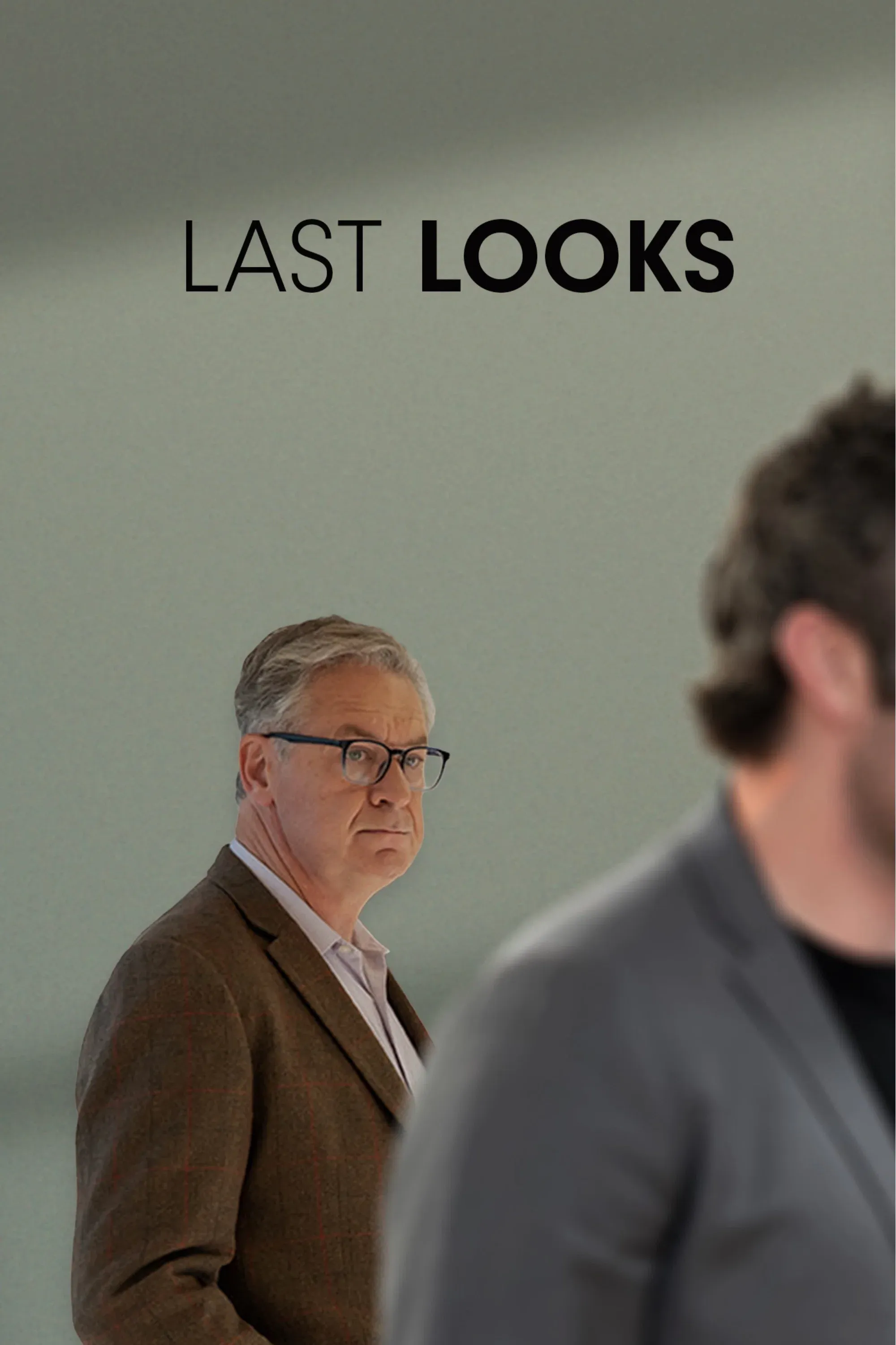 Poster for Last Looks